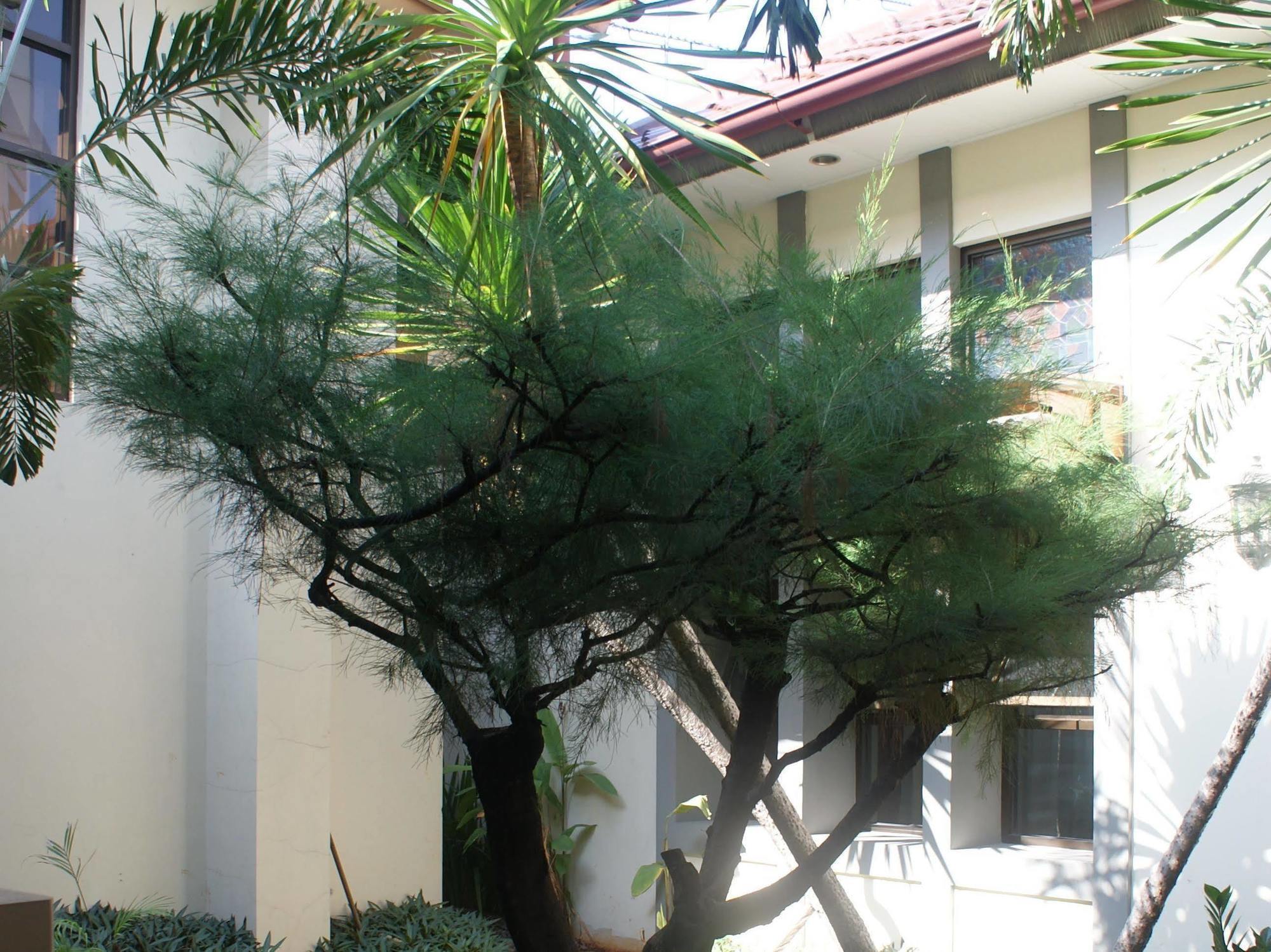 Sofyan Hotel Soepomo Jacarta Exterior foto
